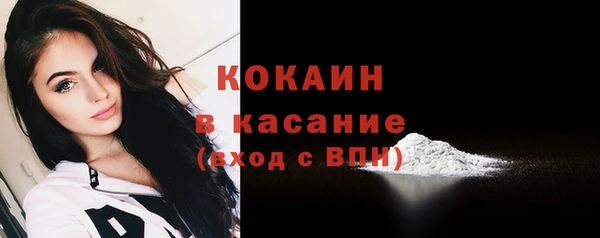 соль ск Михайлов