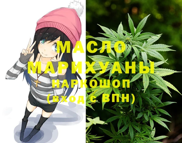 соль ск Михайлов