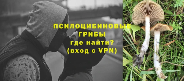 2c-b Михайловка