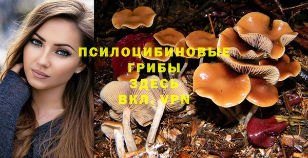 экстази Михайловск