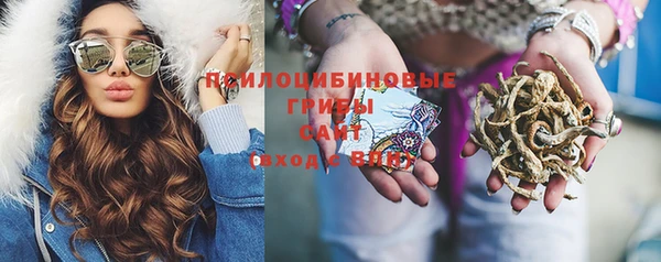 соль ск Михайлов
